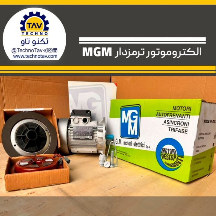 ویژگی های اصلی الکترو موتور MGM